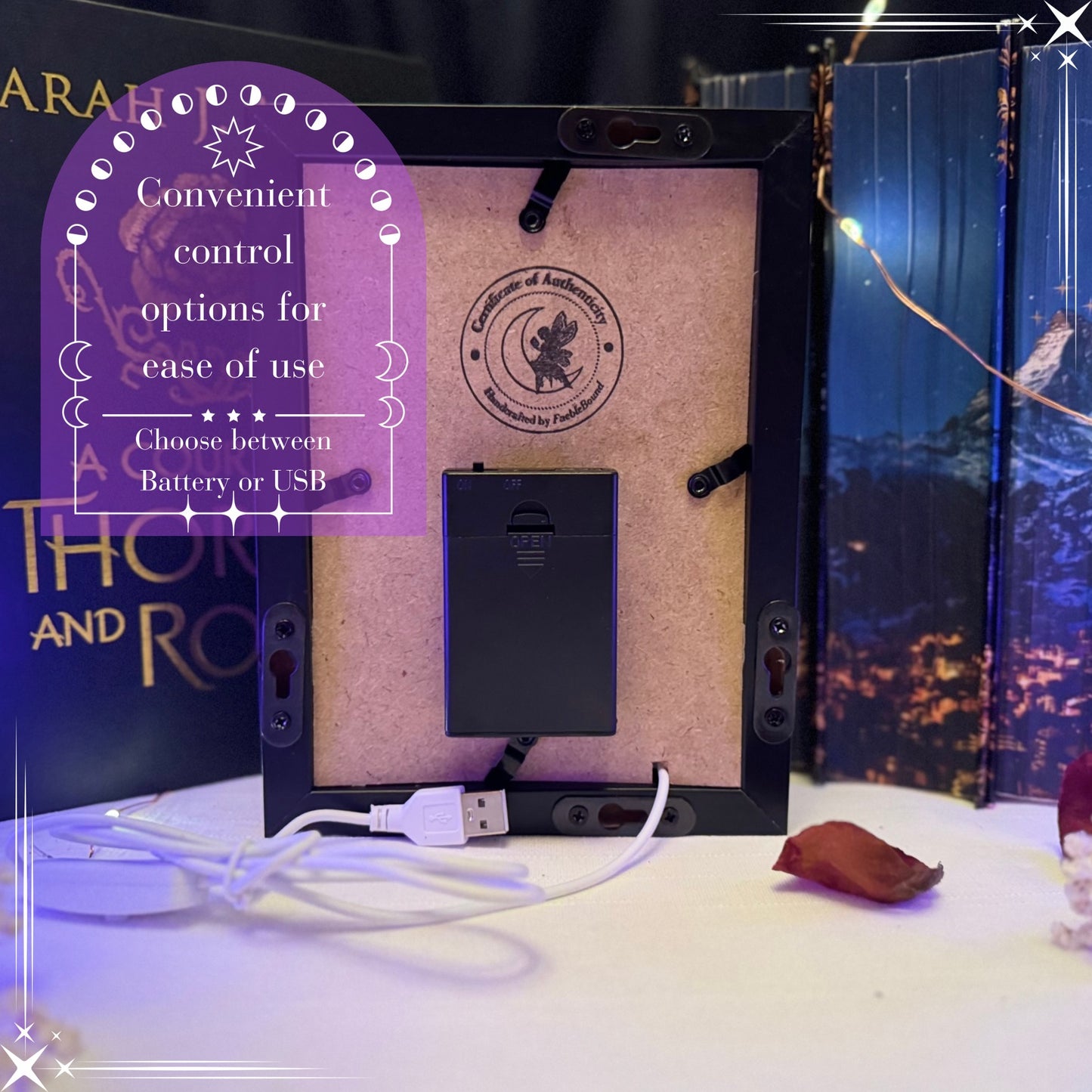 SJM Trio Bundle | Light Boxes